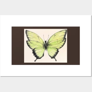 Green Lime Butterfly Posters and Art